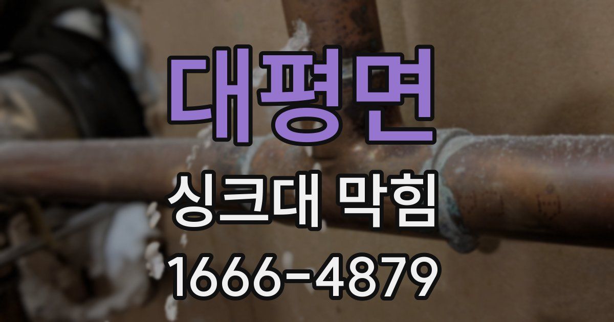 대평면 싱크대 막힘