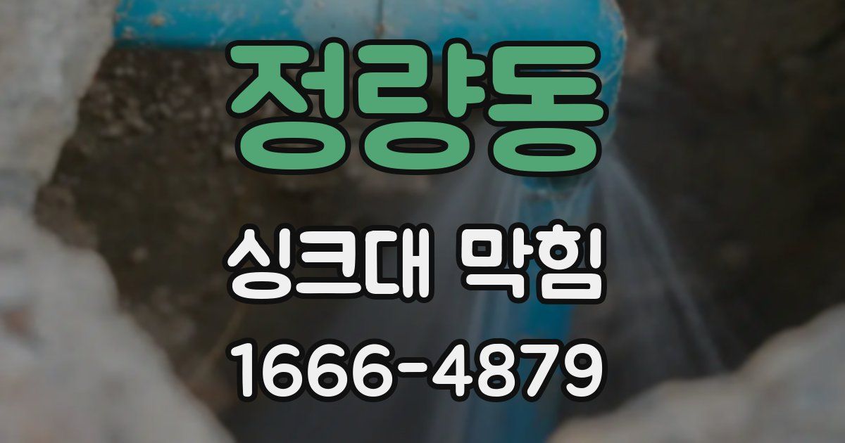정량동 싱크대 막힘