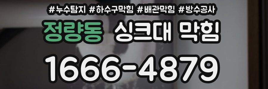 정량동 싱크대 막힘