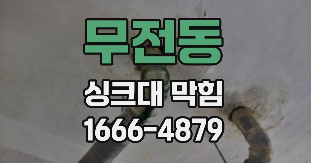무전동 싱크대 막힘