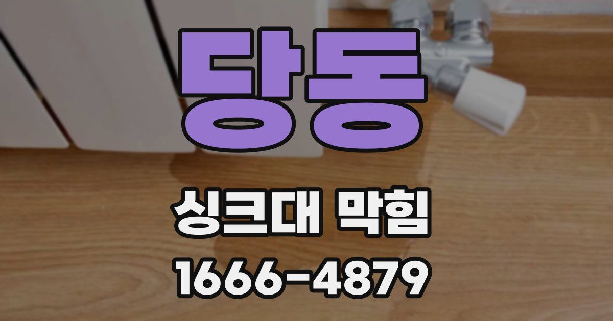 당동 싱크대 막힘