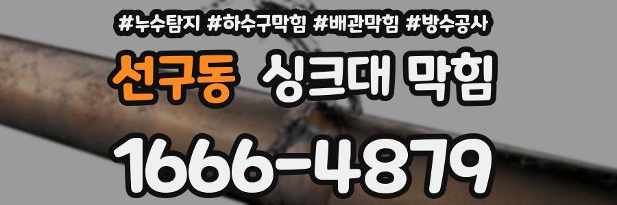 선구동 싱크대 막힘