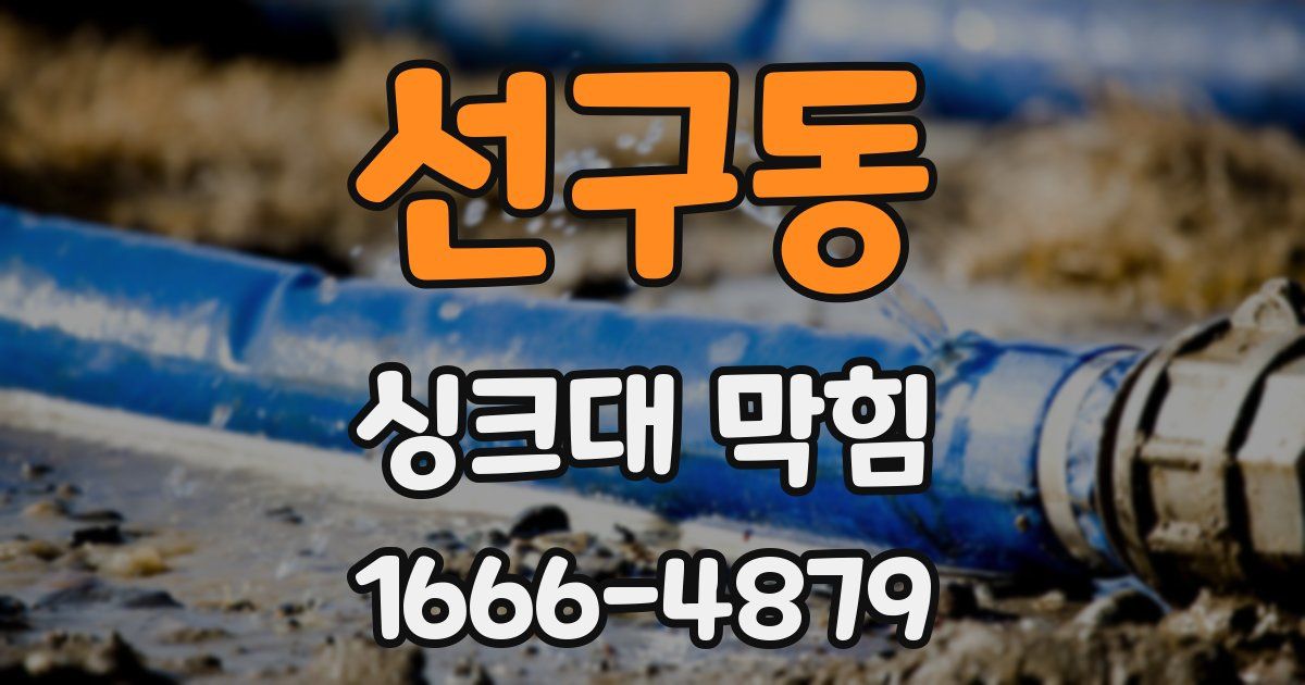 선구동 싱크대 막힘