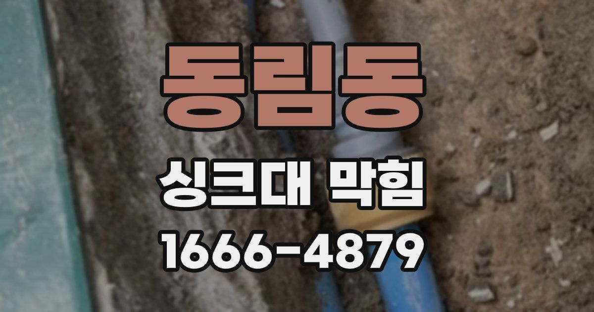 동림동 싱크대 막힘