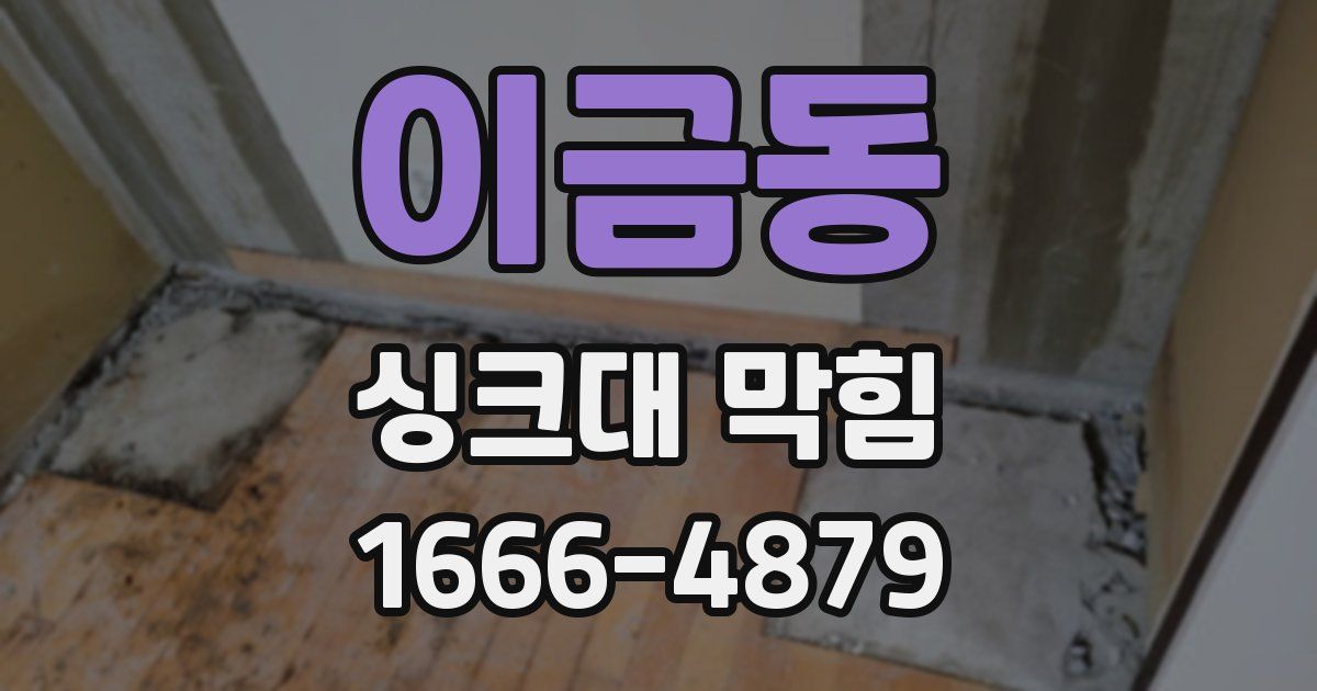 이금동 싱크대 막힘