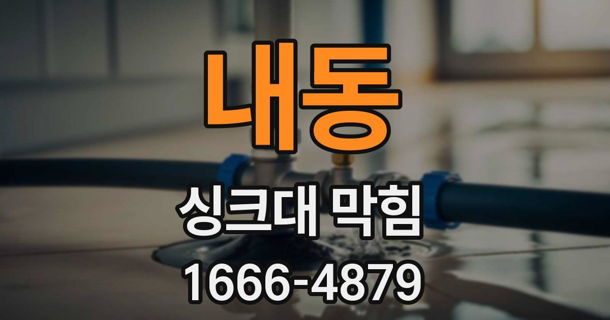 내동 싱크대 막힘