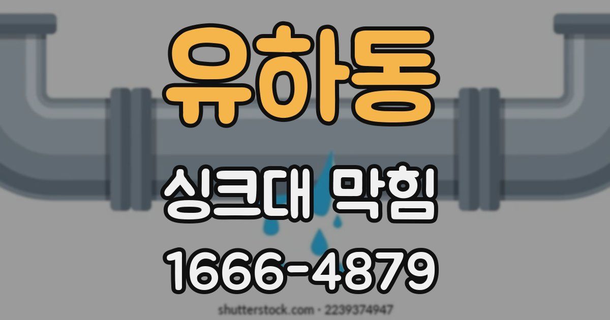 유하동 싱크대 막힘