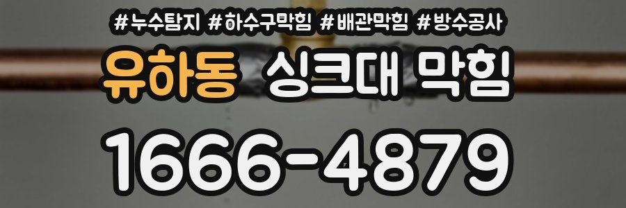 유하동 싱크대 막힘