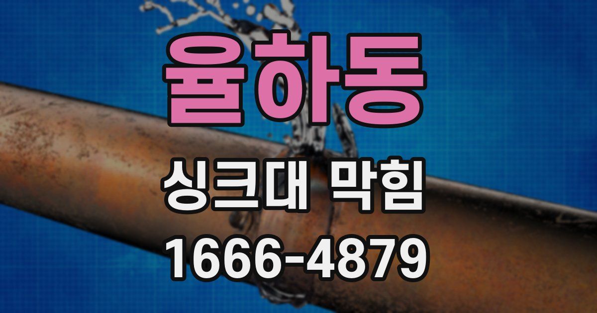 율하동 싱크대 막힘