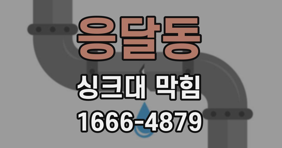 응달동 싱크대 막힘