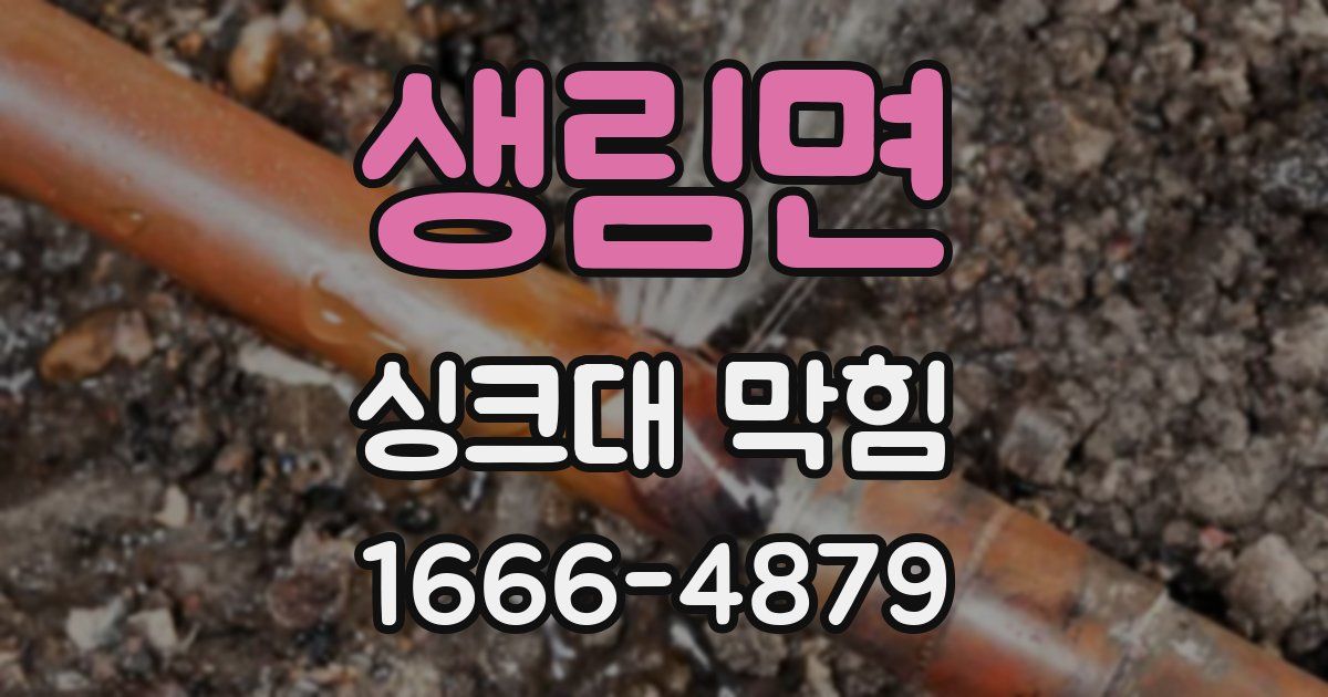 생림면 싱크대 막힘