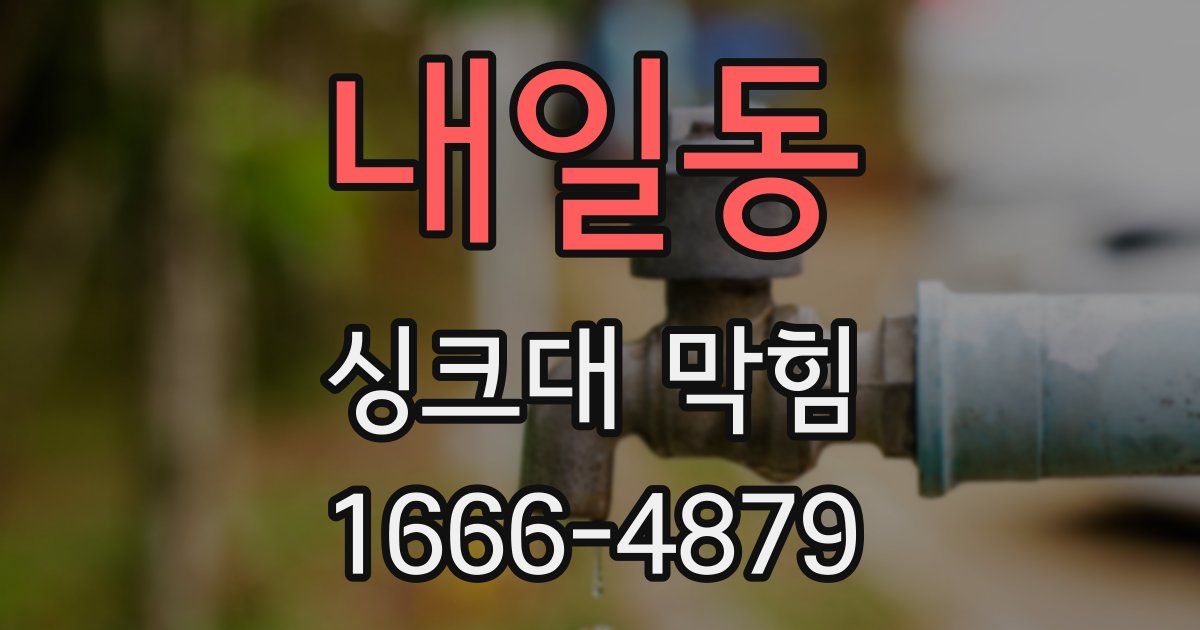 내일동 싱크대 막힘