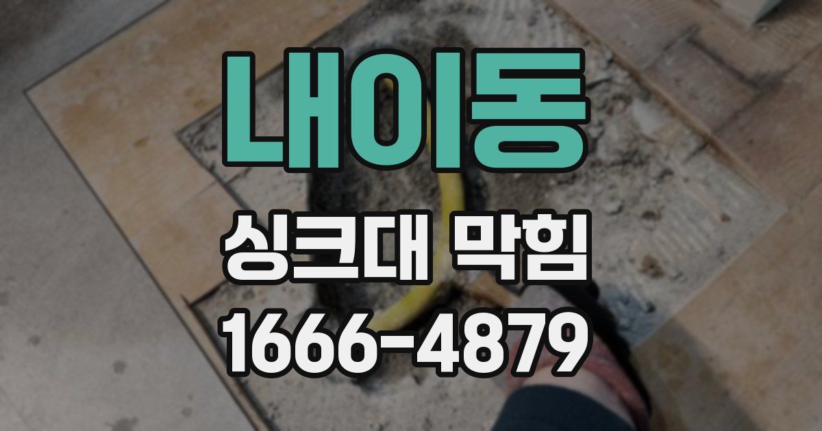 내이동 싱크대 막힘