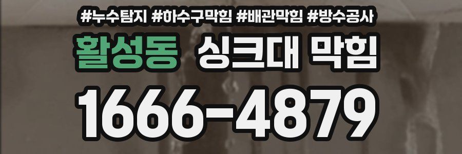 활성동 싱크대 막힘
