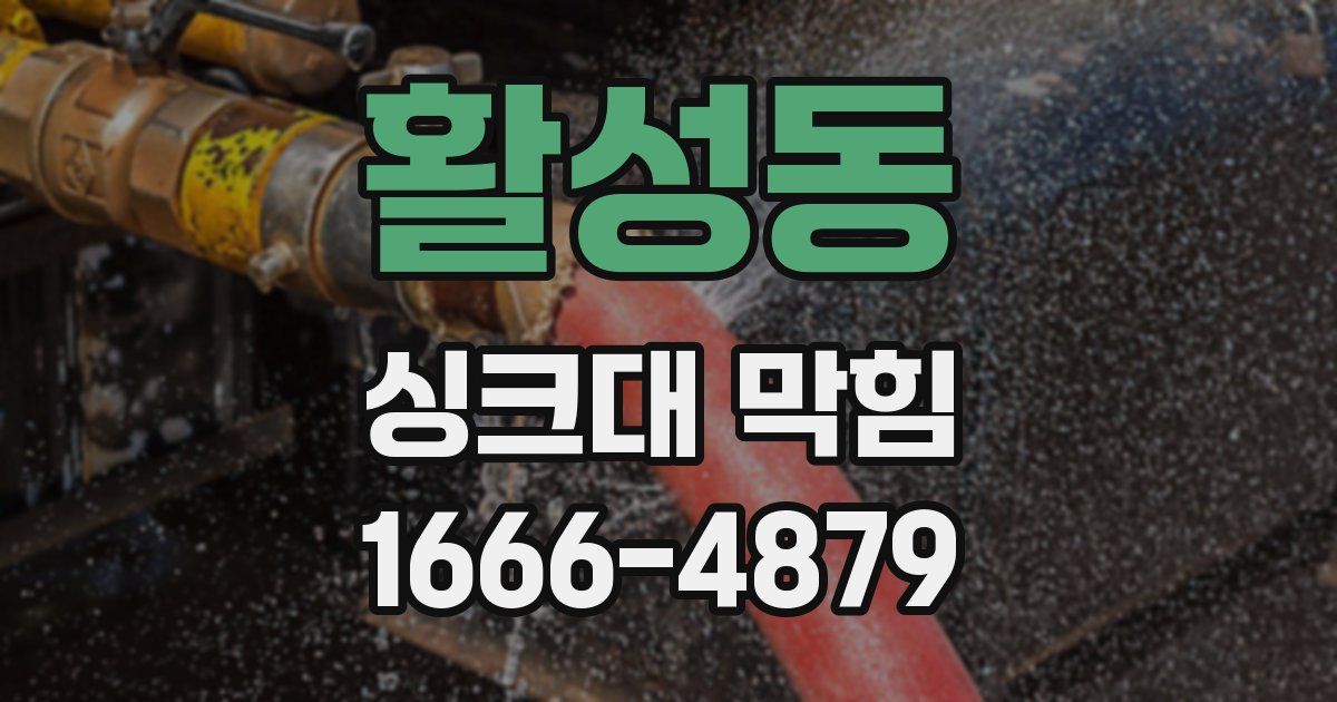 활성동 싱크대 막힘