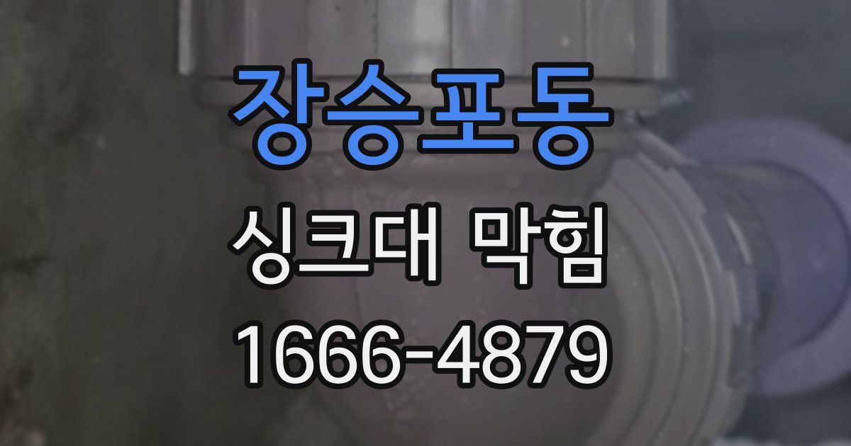 장승포동 싱크대 막힘
