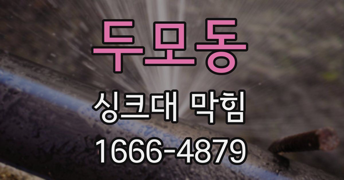 두모동 싱크대 막힘