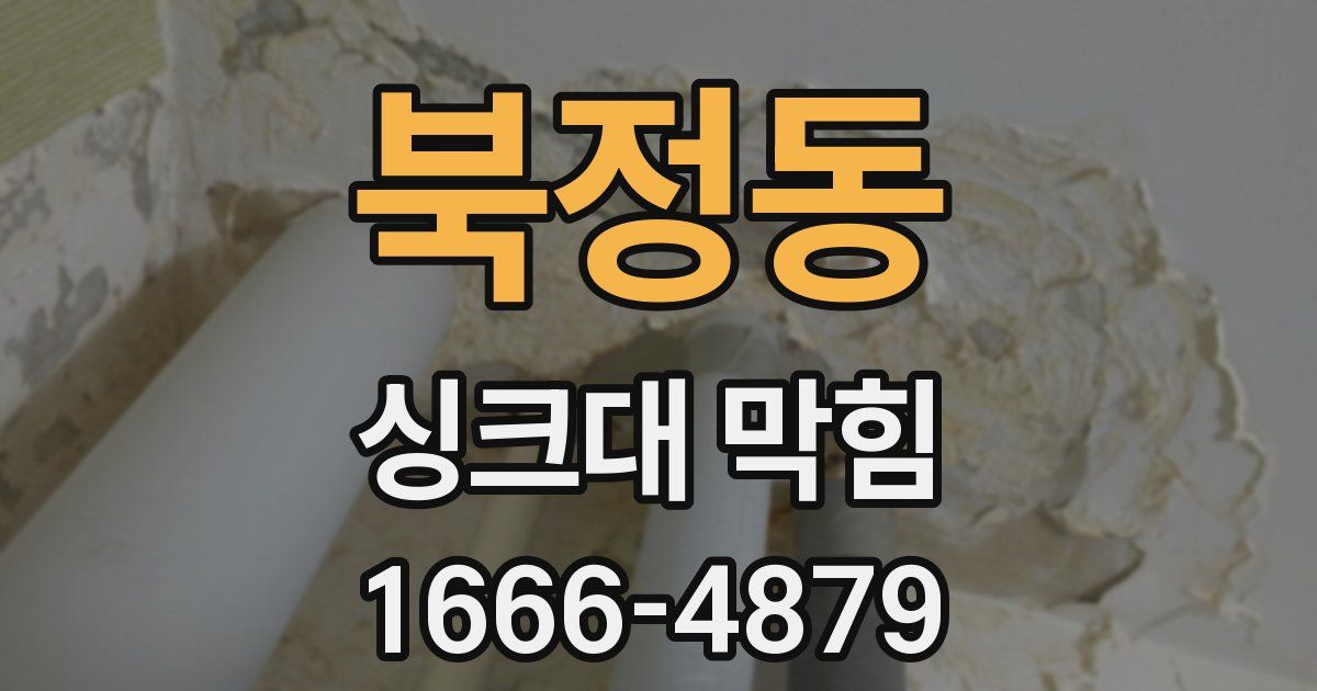북정동 싱크대 막힘