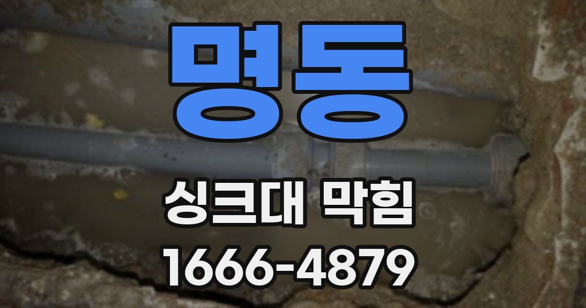 명동 싱크대 막힘