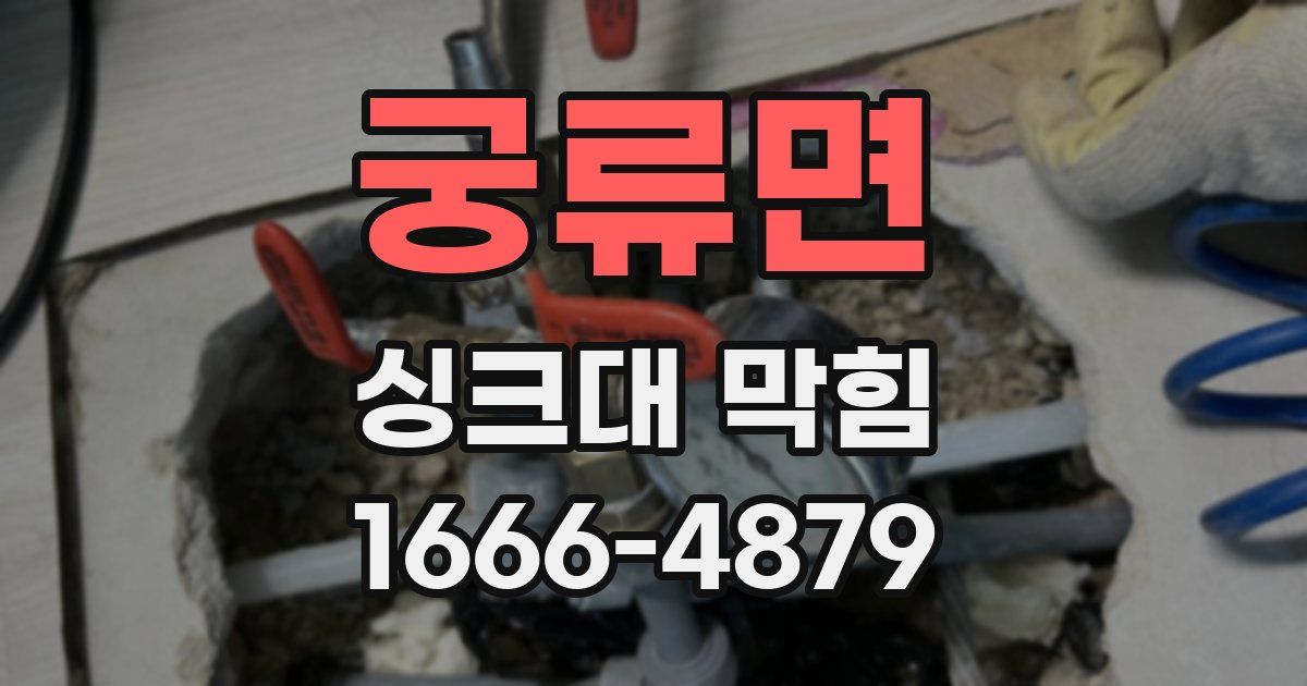 궁류면 싱크대 막힘