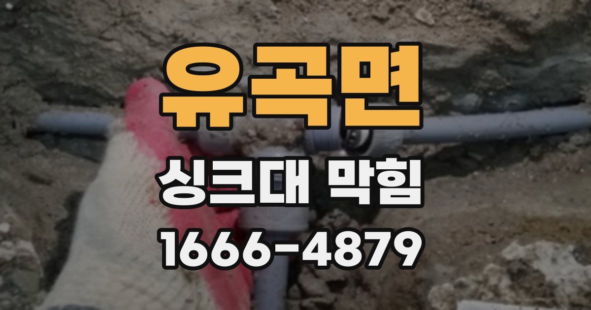 유곡면 싱크대 막힘