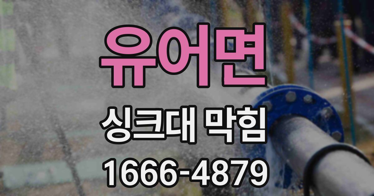 유어면 싱크대 막힘