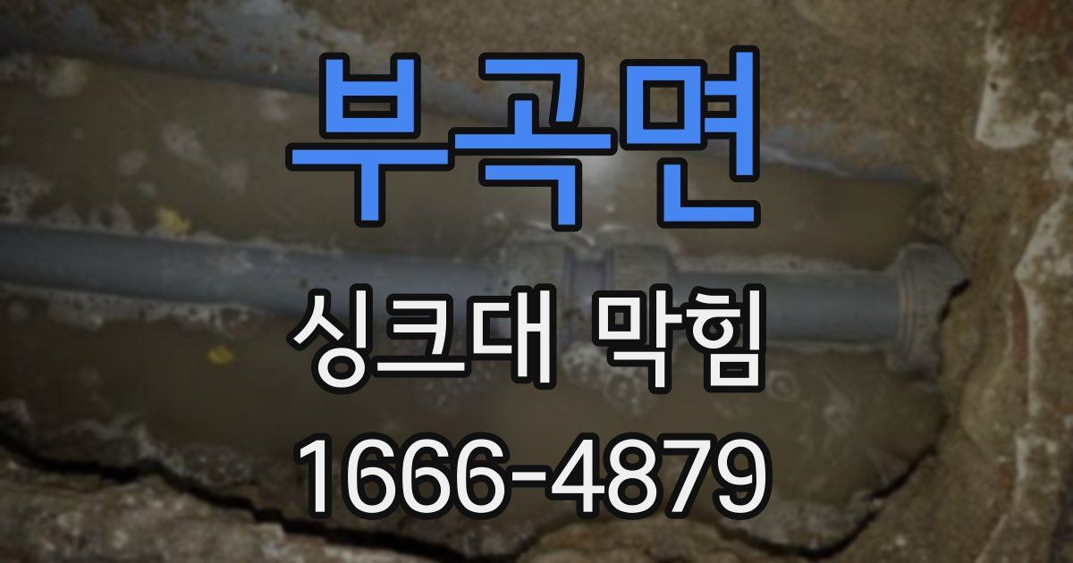 부곡면 싱크대 막힘