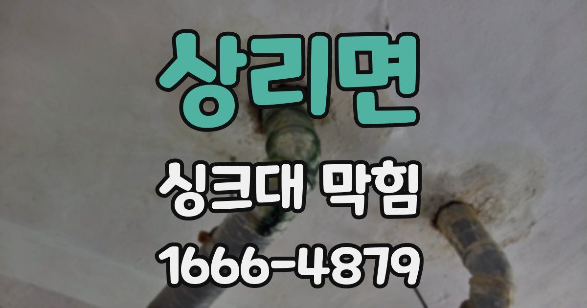 상리면 싱크대 막힘