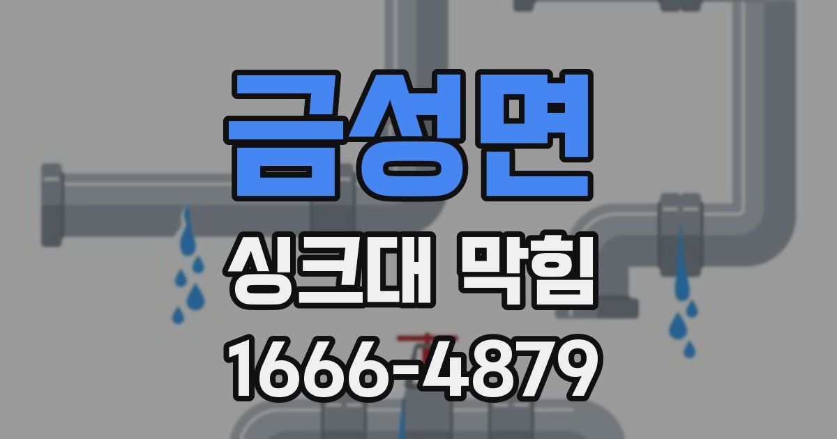 금성면 싱크대 막힘