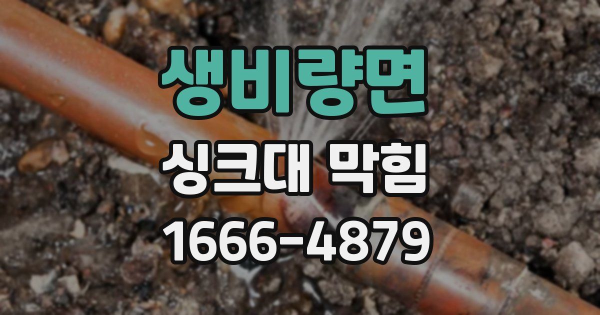 생비량면 싱크대 막힘