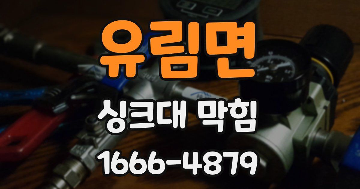 유림면 싱크대 막힘