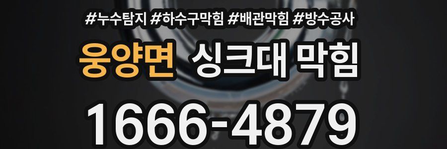 웅양면 싱크대 막힘
