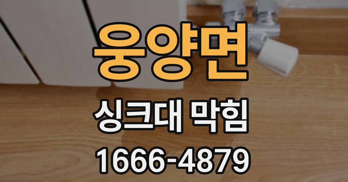 웅양면 싱크대 막힘