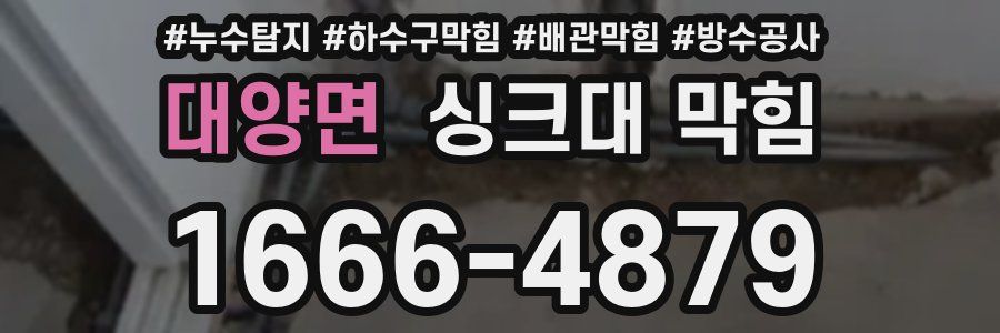 대양면 싱크대 막힘