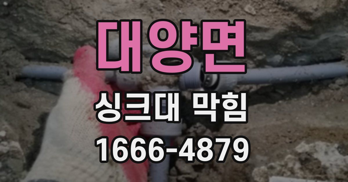 대양면 싱크대 막힘