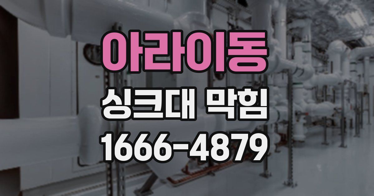 아라이동 싱크대 막힘