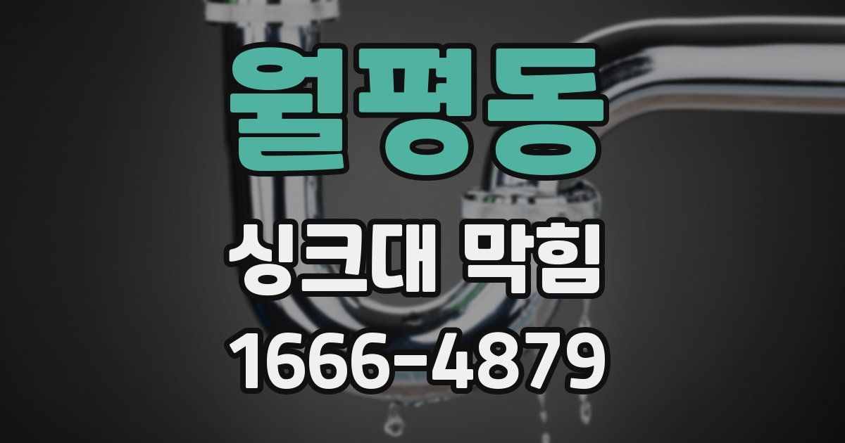 월평동 싱크대 막힘