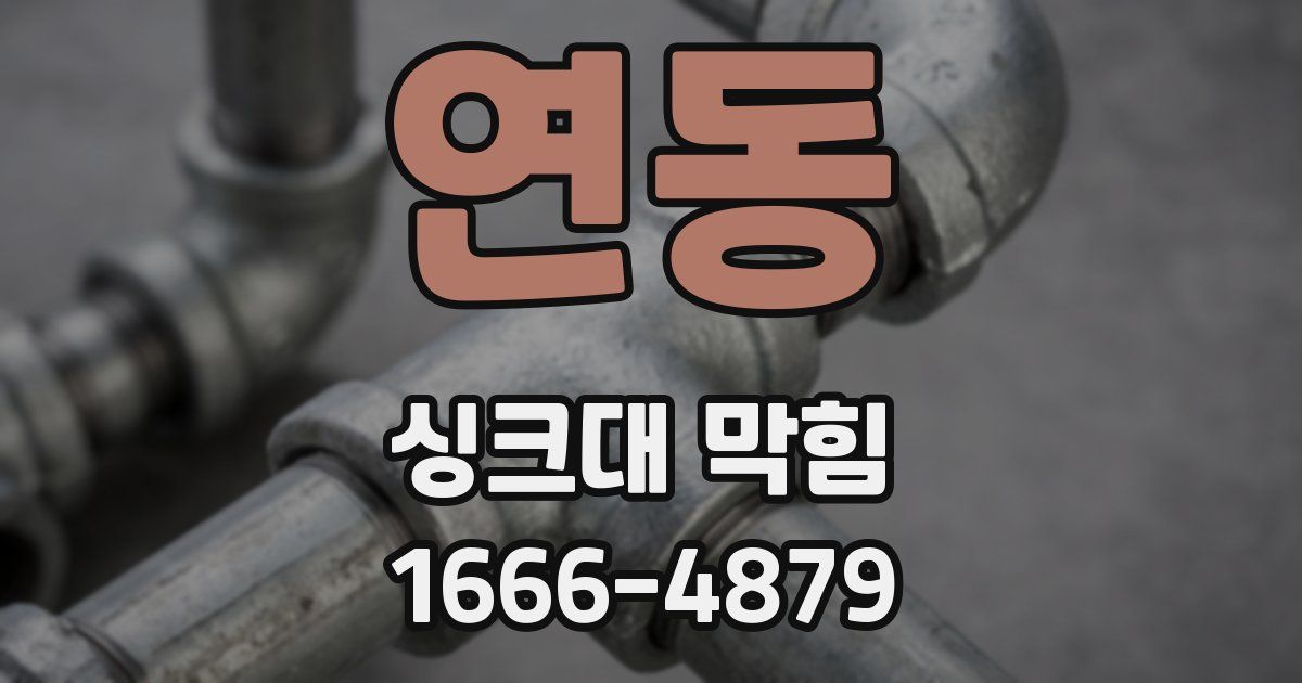 연동 싱크대 막힘