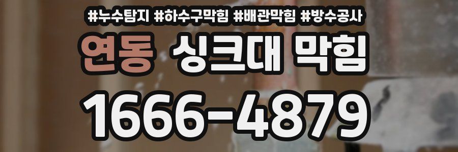 연동 싱크대 막힘