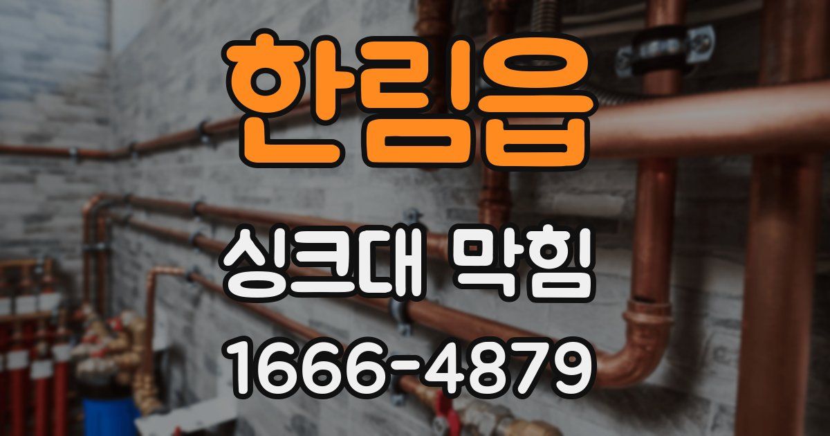 한림읍 싱크대 막힘