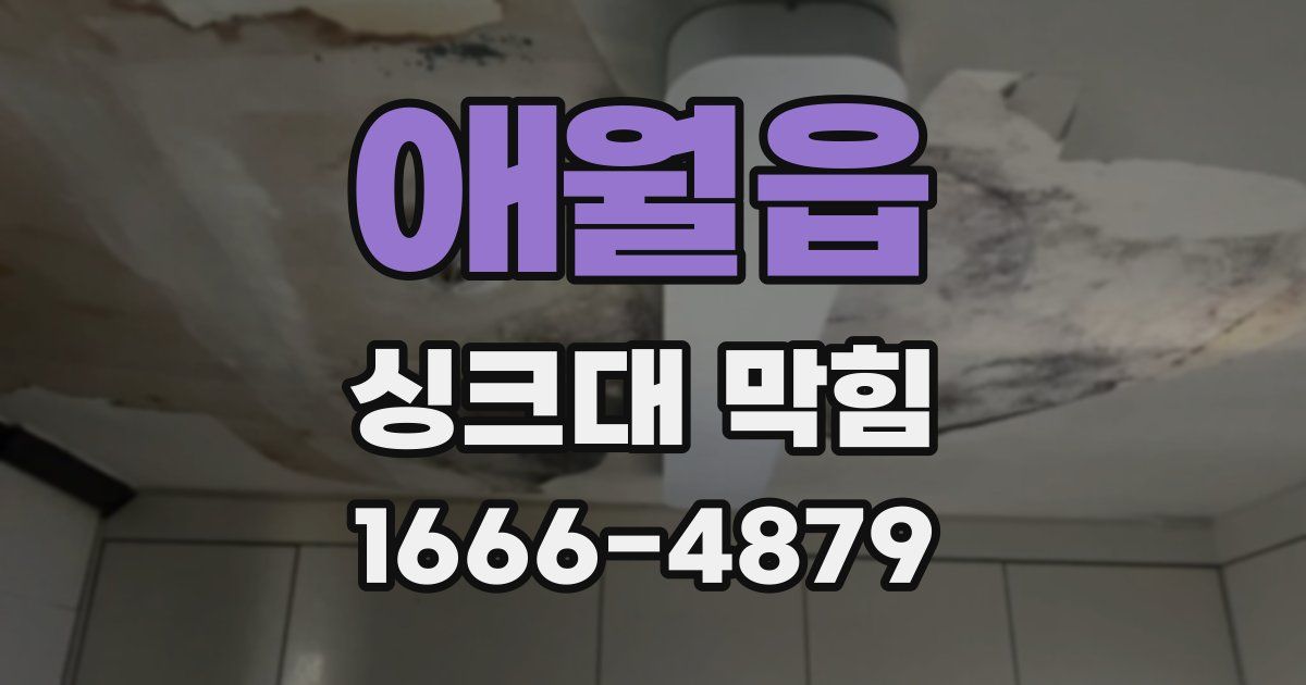 애월읍 싱크대 막힘