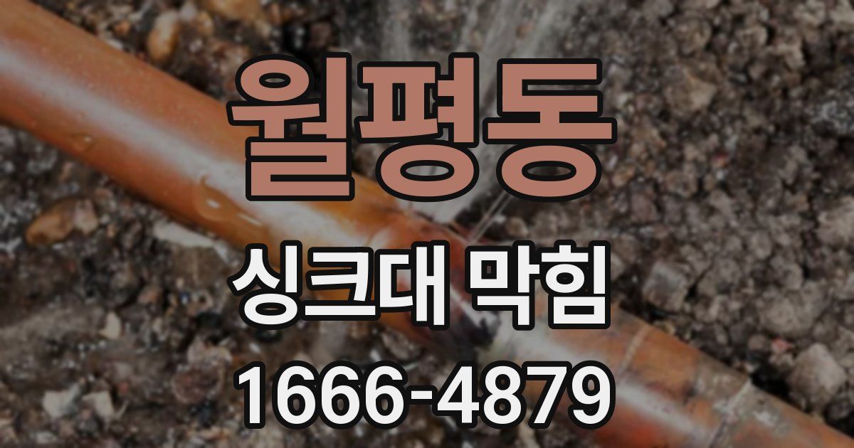 월평동 싱크대 막힘