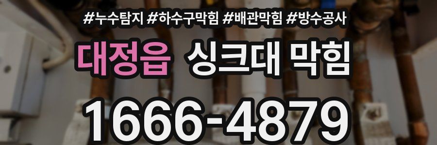 대정읍 싱크대 막힘