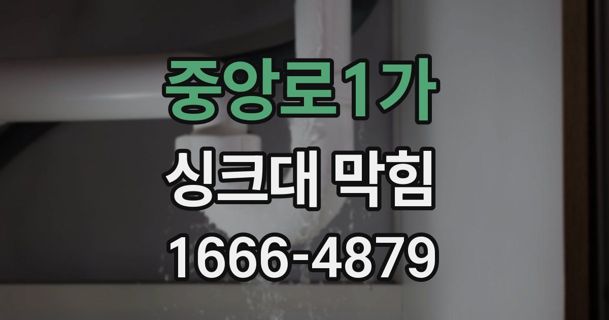 중앙로1가 싱크대 막힘