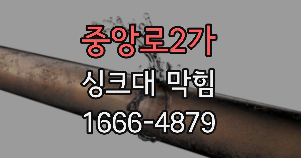 중앙로2가 싱크대 막힘