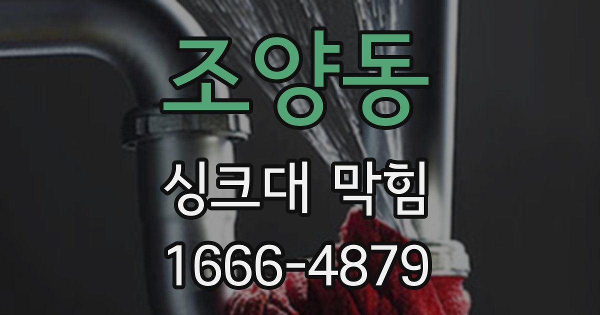 조양동 싱크대 막힘