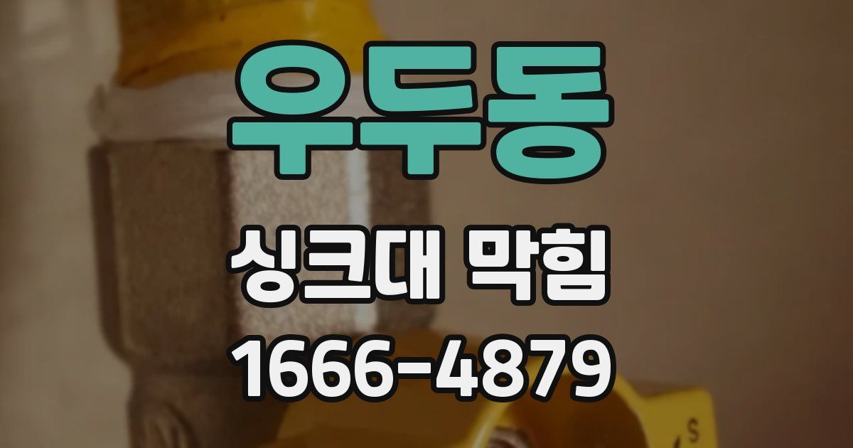 우두동 싱크대 막힘
