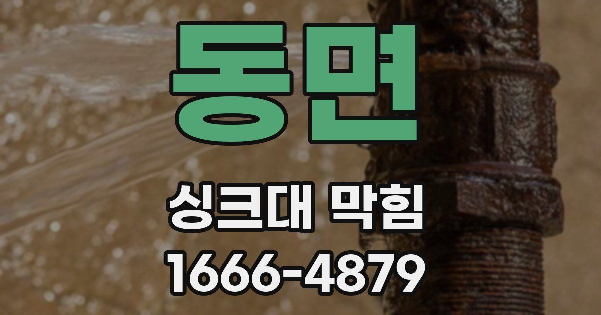 동면 싱크대 막힘