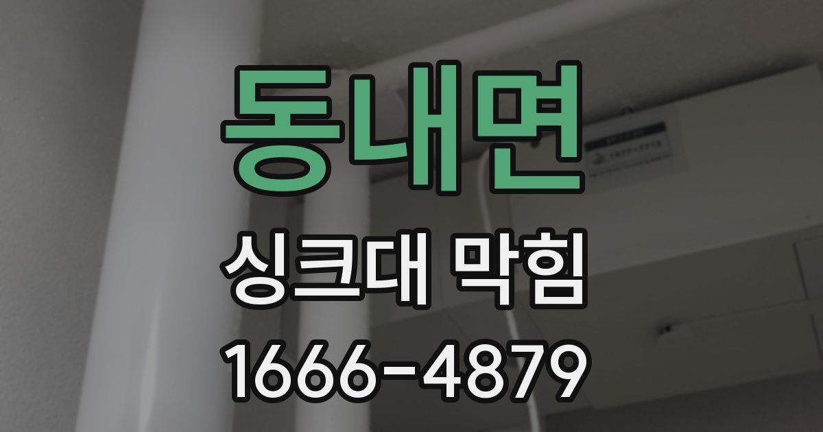 동내면 싱크대 막힘