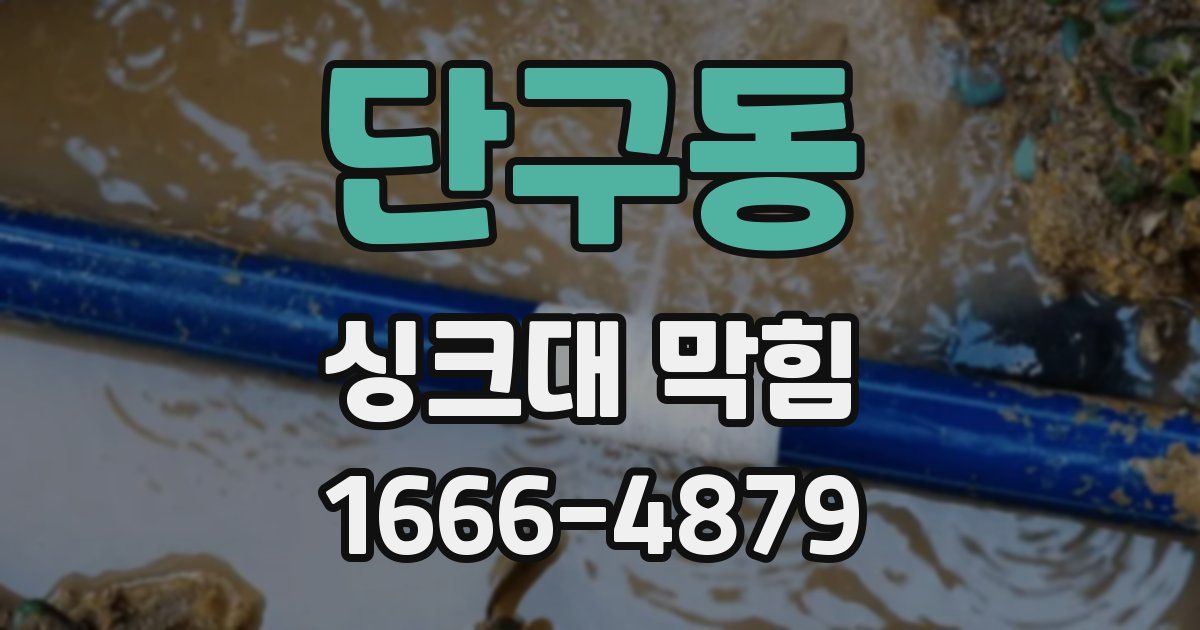 단구동 싱크대 막힘